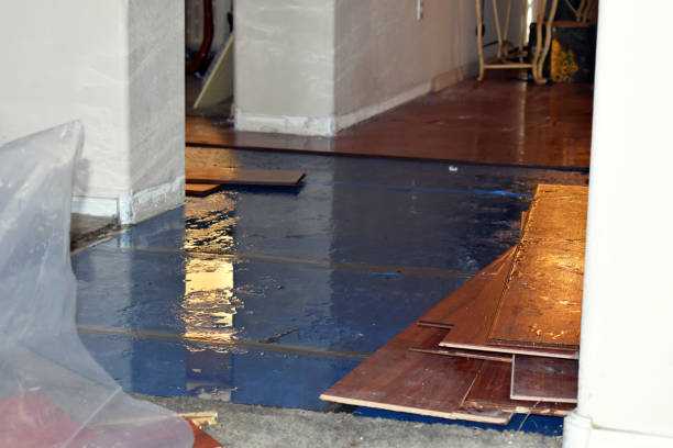 Professional Burst Pipe Cleanup technician working in Petersburg, TX